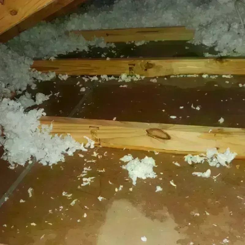 Attic Water Damage in Newport, TN